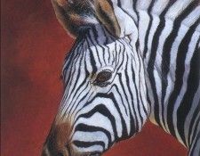 kb Davis Sallie-Domara Zebra. ,  