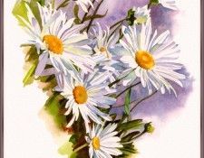 KunzJan-Daisies-sj. , 
