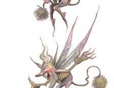 bs-ew-Spriggans 02 [Winslow Pinney Pels]. Pels, ������� �����