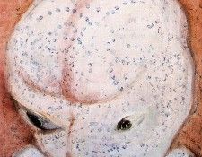 CA2F81E7. ����, ������