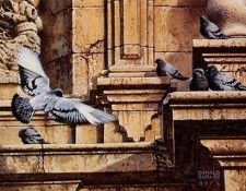 Donald Curley - Unknown, De. �����, �������