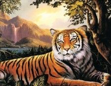 kb Casay Anthony 08 2001. Casay, ������