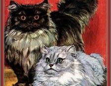 Ds-Cats Art 08 Marge Opitz Buridge. Buridge, ����� Opitz