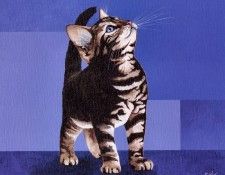 Brian Barfoot - Oct2001 (end. ������, ������