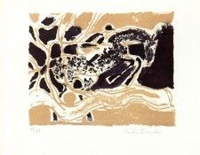 46490. Brasilier, �����