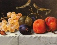 Preyer Emilie Still Life with Fruit And Nuts. , 