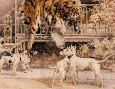 Osthaus Edmund Henry Hunting Tigers The Terriers. Osthaus, ������ �����