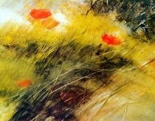 Tol Jaap Berm Sun. ��� ���