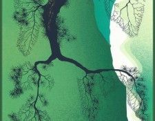 lrsEG122EarleEyvind SeaCliffsandPineBranch. ���, ������