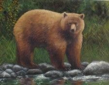 bear1 op 800x604. Nordwall, �������