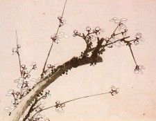 pic09480. �������