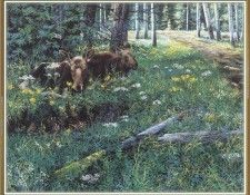 KissAndrew A Mountain Alphabet Yearlings We@ISC. , 