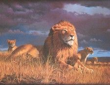 bs-na- Adrian C Rigby- Pride. �����, ������ C.