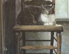 Hanks Steve Gato. , 