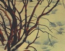 lrs Snowshoe  Tracks Bev  Doolittle. ��� ������