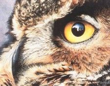 kb Ross Sueellen-Eye of the Beholder. , SueEllen