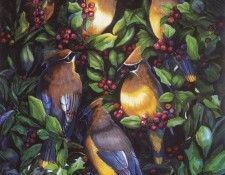 kb Hulbert Laura-Gala Gathering. �������, �����