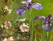 farge3. ����