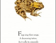 pa TonyOliver FrogsSingSongs 02a. ������, ����