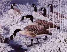 43594. Tunnicliffe, 