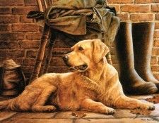 Ipl 0011 Patience NigelHemming sqs. ,    