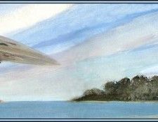 D50-AWE058-RB-Yellow Crowned Night Heron 3. Bansemer, ������