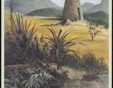 WoodWilliam 17 SugarMillPond-We. ���, ������