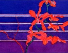 bs-flo- Sara Steel- Fractured Light- Night. ����, ����