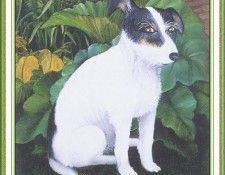 CookBeryl i09 Dogs 1-WeaSDC. ���, Beryl