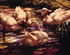 Ducks in a Forest Pond. ������, ���������