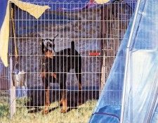 Haeseker, Alexandra - Enclosure (end. Haeseker, 