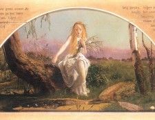 30511.   Foord