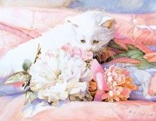 kb Noel Nancy-Kitten. , 