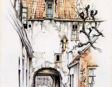 Pieck Anton 002 Sun. , 