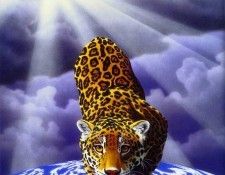 18. Schimmel, ������