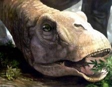 dinosaurs csg009 karongasaurus. , 