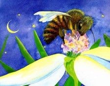 Time For Bed Tb 0010 Little Bee JaneDyer sqs. , 