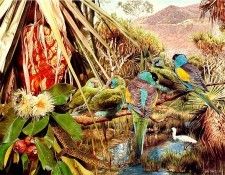 Oz AGls073 Tony Oliver Hooded Parrot. , 