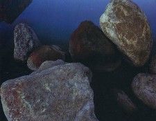 Funny 203. ����� ������ - ���� �����