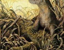 Twinney Dick Nature 016 Sun. Twinney, ���