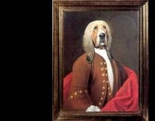 dog portraits csg008 sir algernon buncombe. �������, ������