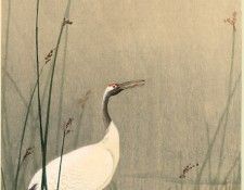 pic02261. �����