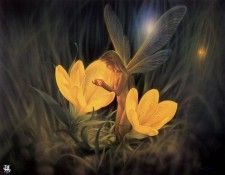 ma Kirk Reinert Night Harvest. �������, ����