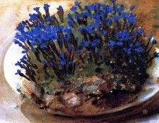 Sargent John Singer Blue Gentians. ,  