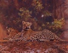 lrs Bosman Paul Brief Encounter. �������, �����