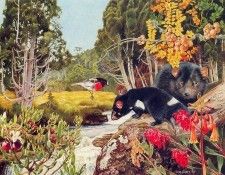 Oz AGls101 Tony Oliver Tasmanian Devil. , 