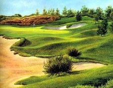 fairways csg011 pelican hill 12th hole-dave chapple. Chapple, 