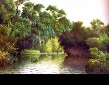 untitled(laura woodward)1898-fl art csg009. �������, �����