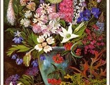 bs-flo- Marianne North- Wildflowers- West Australia. , 