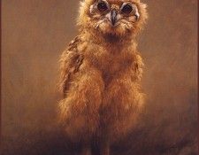 lrsHarrisChingRay-OwletMackindersEagle. ,  